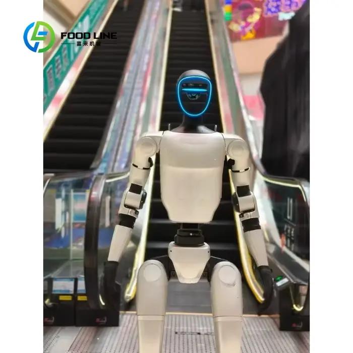 Robot bipède avancé personnalisé avec technologie d'équilibrage pour des mouvements complexes et des activités physiques