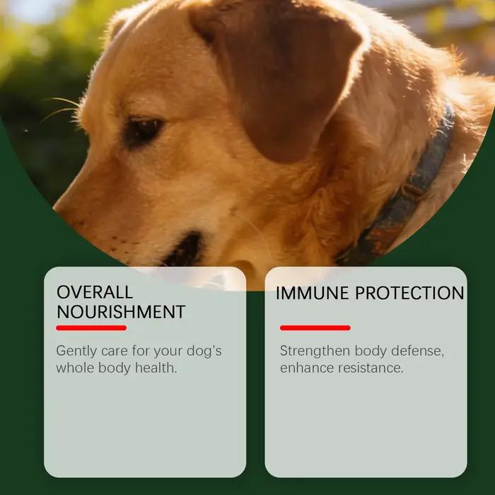 Poudre nutritionnelle pour chiens : favorise la digestion, équilibre la flore intestinale, stimule la vitalité, améliore la santé, soutient le système immunitaire, absorption facile au quotidien