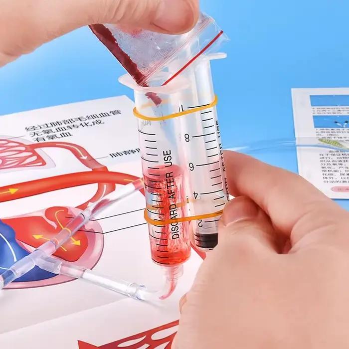 Kit de Modélisation STEM DIY du Système Circulatoire – Jouet Éducatif Scientifique du Corps Humain pour Enfants – Fournitures Pédagogiques d'Apprentissage de la Biologie