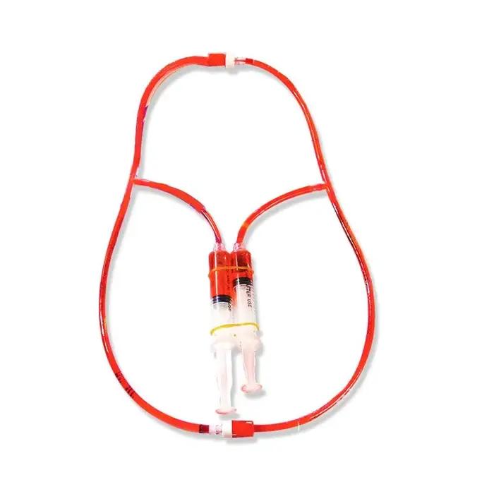 Kit de Modélisation STEM DIY du Système Circulatoire – Jouet Éducatif Scientifique du Corps Humain pour Enfants – Fournitures Pédagogiques d'Apprentissage de la Biologie