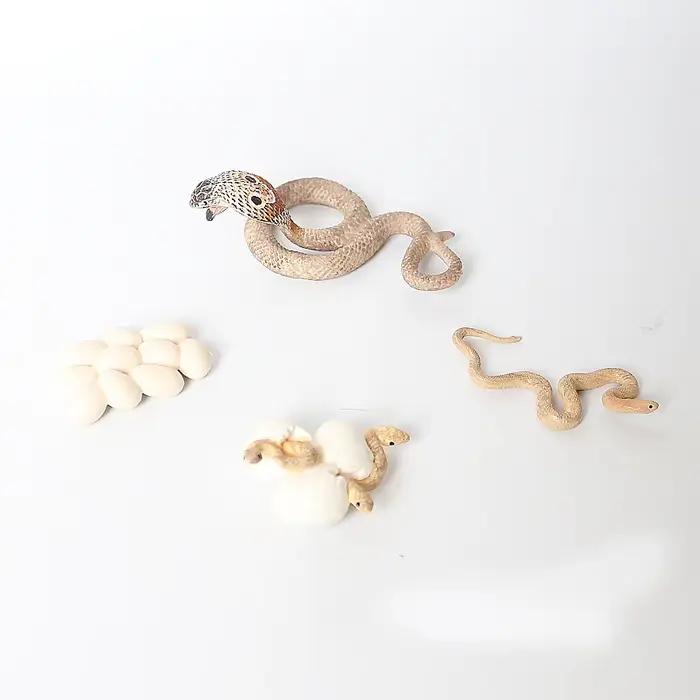 Cycle de vie figurines d'animaux ensemble Crocodile serpent Figurines d'animaux Anime figurine d'action animaux en plastique pour enfants enfants nouveaux jouets