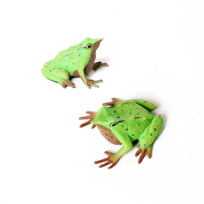 Figurines d'animaux de la forêt tropicale, grenouille d'arbre, grenouille taureau, jouet d'action Squishy, jouets pour enfants, cadeaux pour enfants