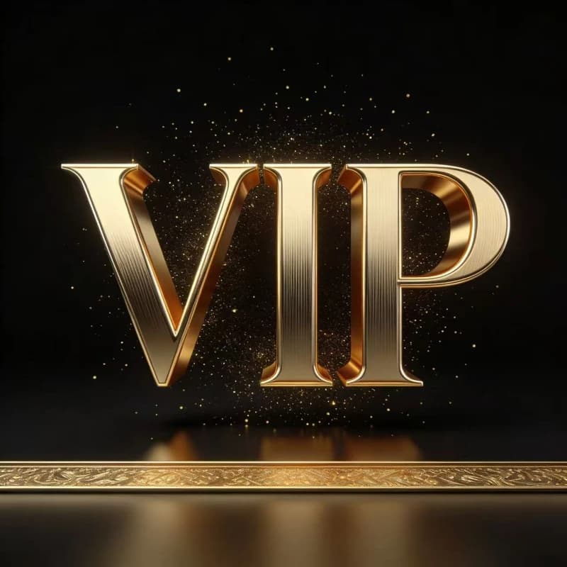 Lien personnalisé de paiement exclusif VIP