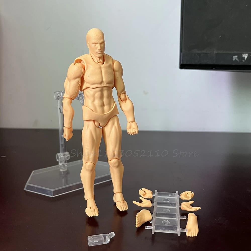 Figurine d'action articulée en PVC pour artistes d'anime, avec support, pour dessin et peinture, mod