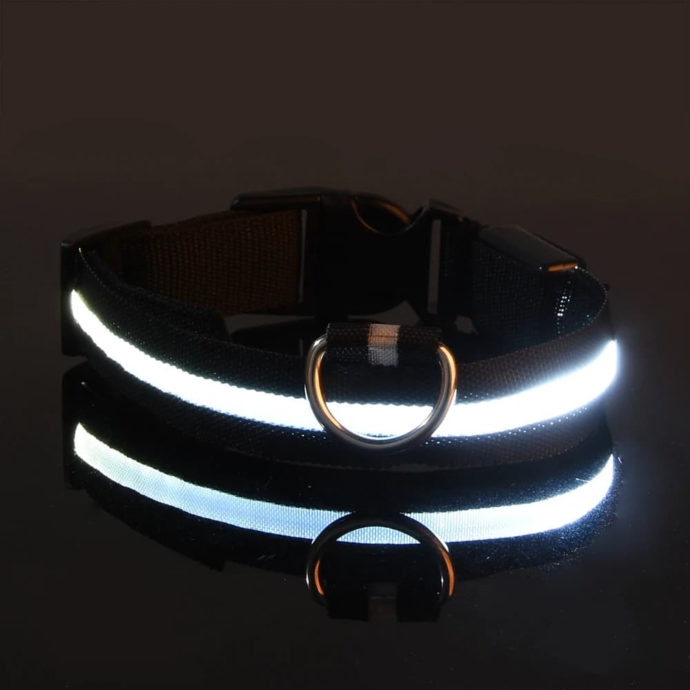 Laisse LED clignotante en nylon pour chien, sécurité nocturne, lueur dans le noir, collier de chien 