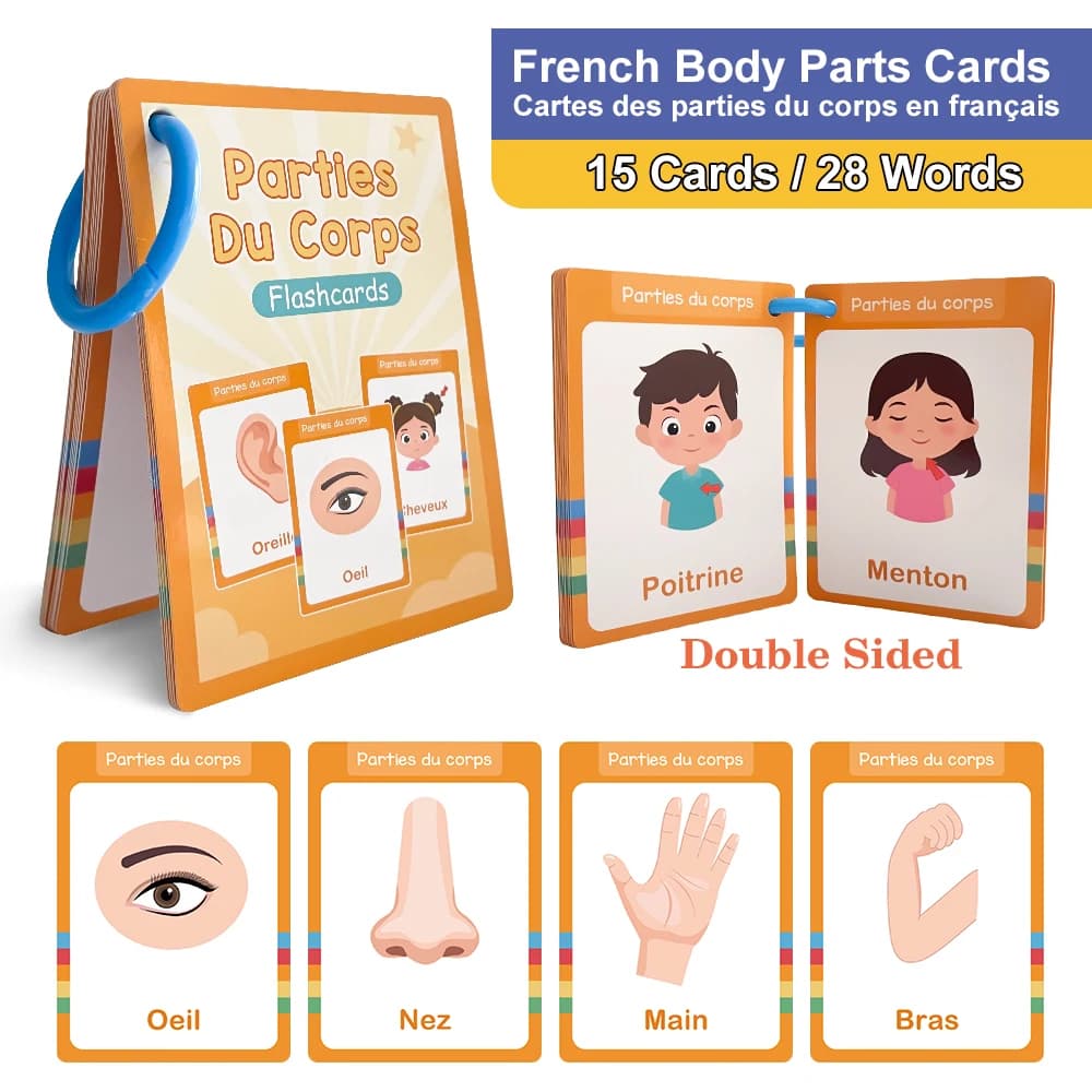 Nourriture/animaux/fruits/parties du corps cartes d'apprentissage des mots français pour les enfants