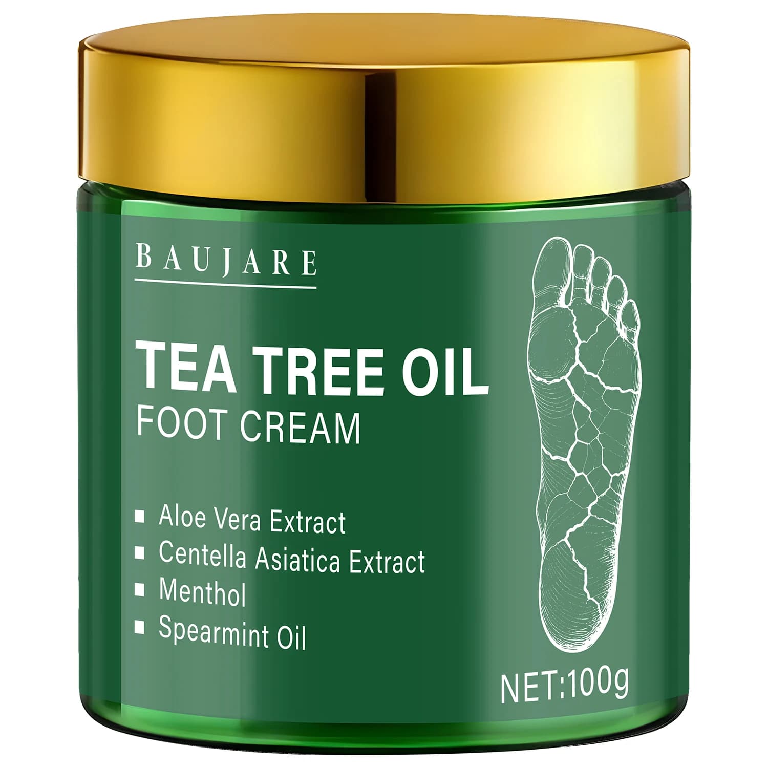 Crème pour les pieds à l'huile d'arbre à thé à l'aloe vera, Centella Asiatica, huile de mentholique 