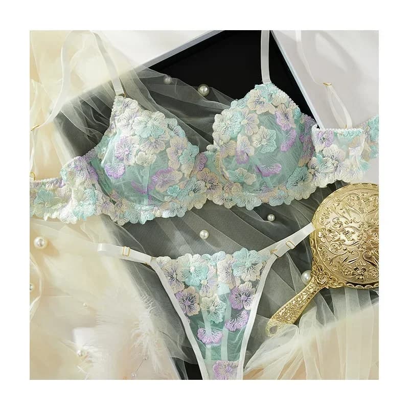 Lingerie en dentelle brodée délicate, sous-vêtements sexy, produits dégradés, kit de fans de DALTol,