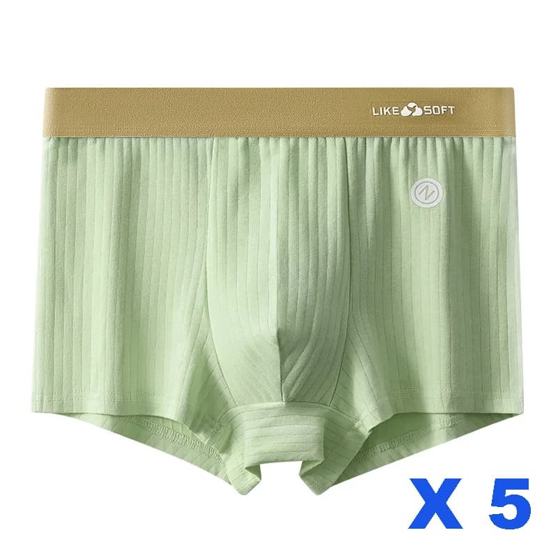 5 pièces hommes rayé drôle Boxer Shorts sous-vêtements Sexy caleçons Homme Homme U convexe Shorts Li