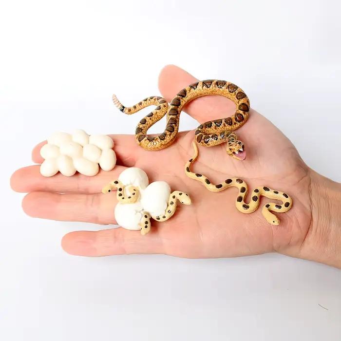 Cycle de vie figurines d'animaux ensemble Crocodile serpent Figurines d'animaux Anime figurine d'action animaux en plastique pour enfants enfants nouveaux jouets