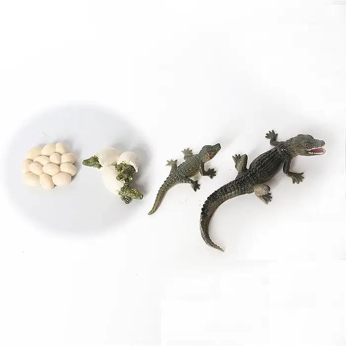 Cycle de vie figurines d'animaux ensemble Crocodile serpent Figurines d'animaux Anime figurine d'action animaux en plastique pour enfants enfants nouveaux jouets