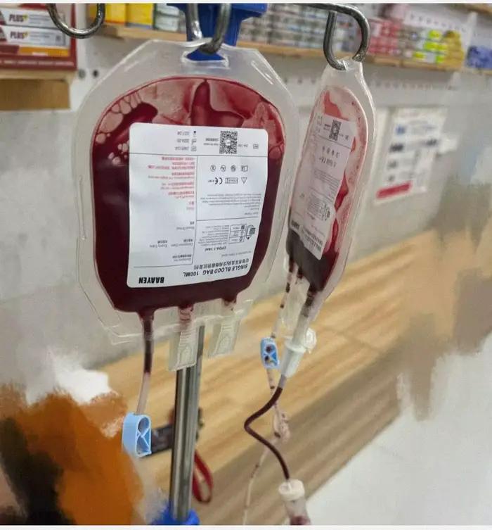 5 sacs de collecte de sang vétérinaire de 100 ml et 200 ml avec transfusion pour chiens et chats - Idéal pour les expériences animales et scientifiques