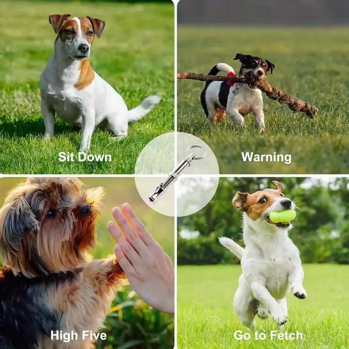 Sifflet pour arrêter d'aboyer pour chien, son réglable, porte-clés, rappel professionnel, animal de compagnie, chiot, chat, 1 pièce, 2 pièces