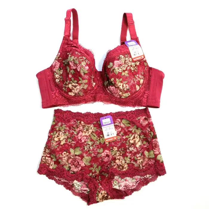 Ensemble de soutien-gorge sexy en dentelle brodée pour femmes