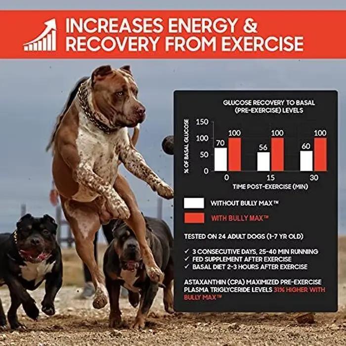 Constructeur musculaire liquide 3 en 1 Bully Max pour chiots et chiens adultes, Renforce les performances musculaires, la récupération d'endurance 16 oz