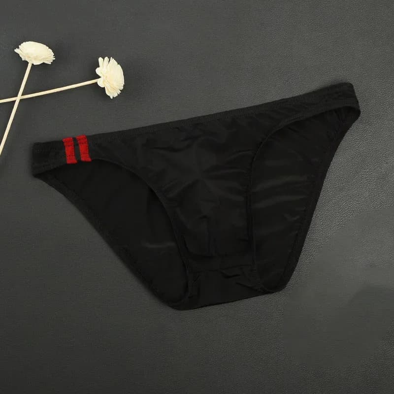 Sexy hommes culottes Transparent respirant slips taille basse Lingerie hommes renflement poche slips