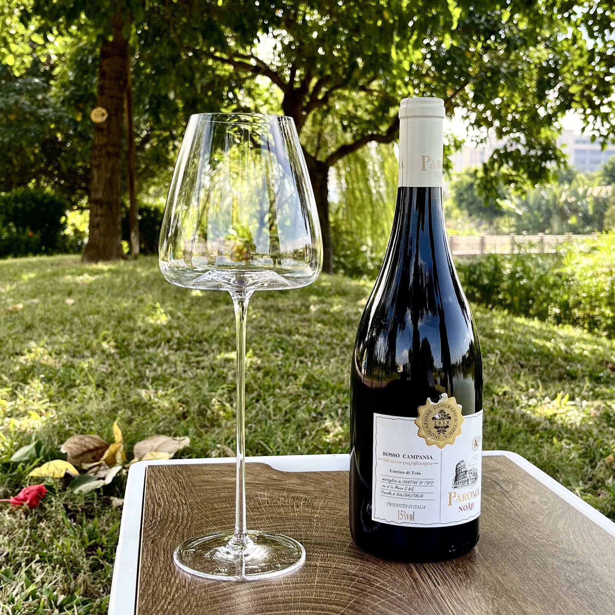 Verre à vin rouge très fin de 650ml/800ml, verre à Champagne bordeaux haut de gamme, verre à vin bla