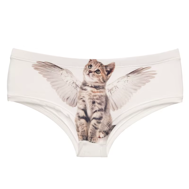 DeanFire Kawaii 3D culottes femmes sous-vêtements ange chat dessin animé imprimé belle Push Up slips