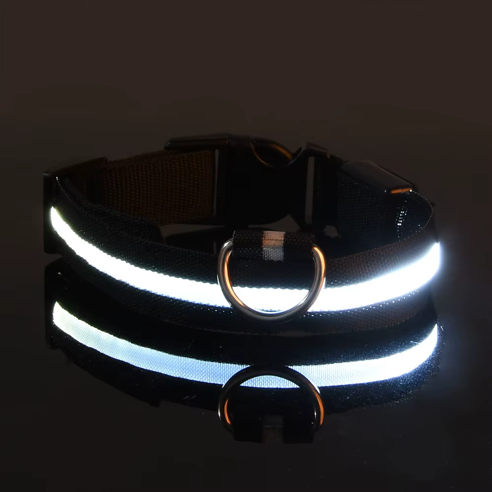 Laisse LED clignotante en nylon pour chien, sécurité nocturne, lueur dans le noir, collier de chien