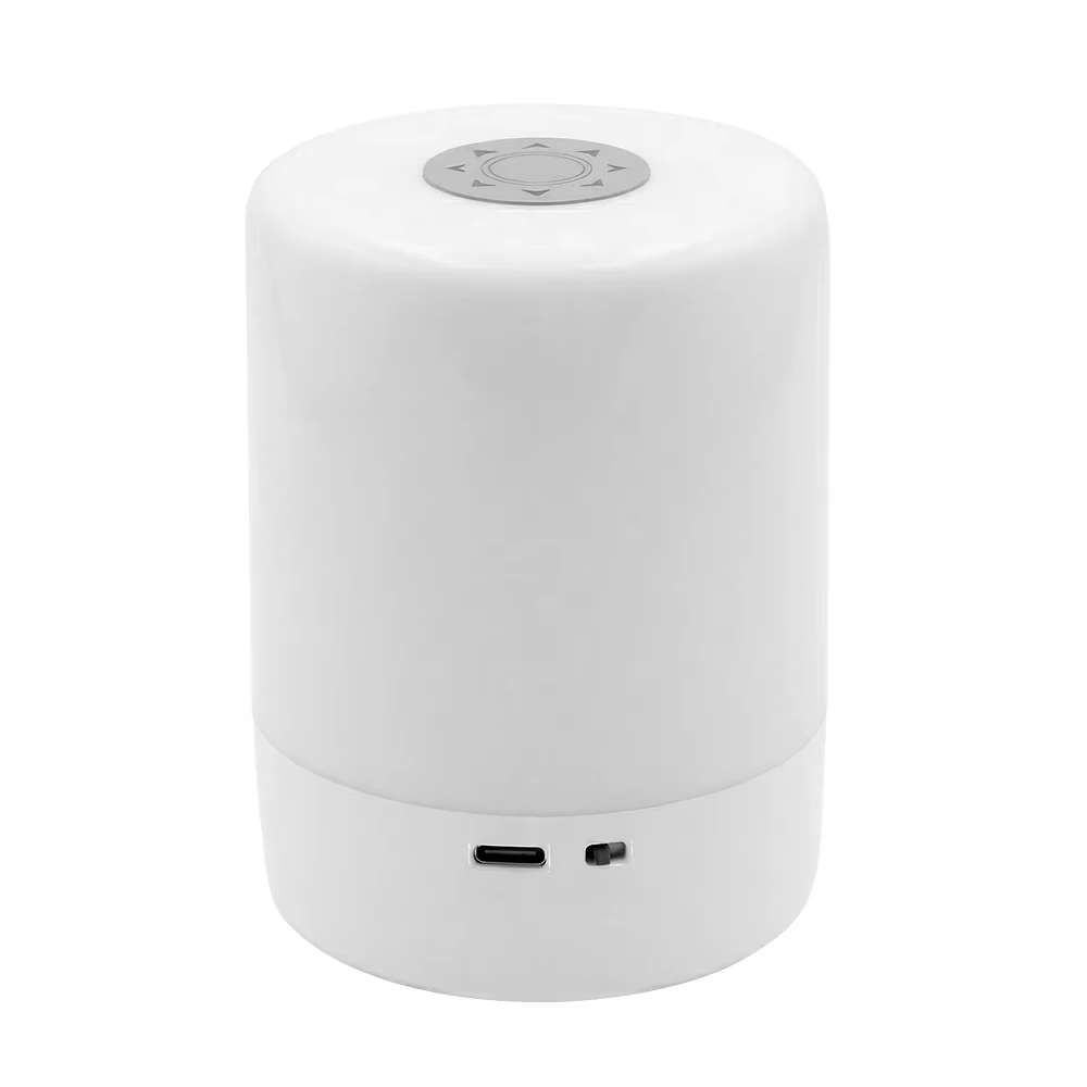 Lampe de chevet tactile rechargeable pour chambre à coucher, veilleuse pour enfants, lampe LED à lon