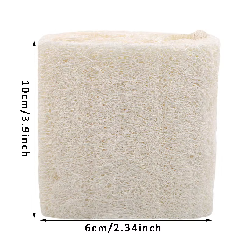 Loofahs organiques, épurateur exfoliant pour Spa, éponge de lavage du corps naturelle, élimine la pe