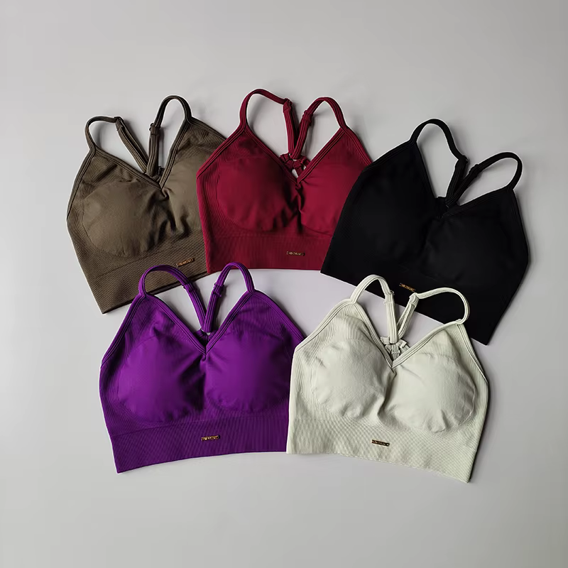 Soutien-gorge de sport sans couture pour femmes, 2 pièces, combinaison de Yoga, séchage rapide, leva