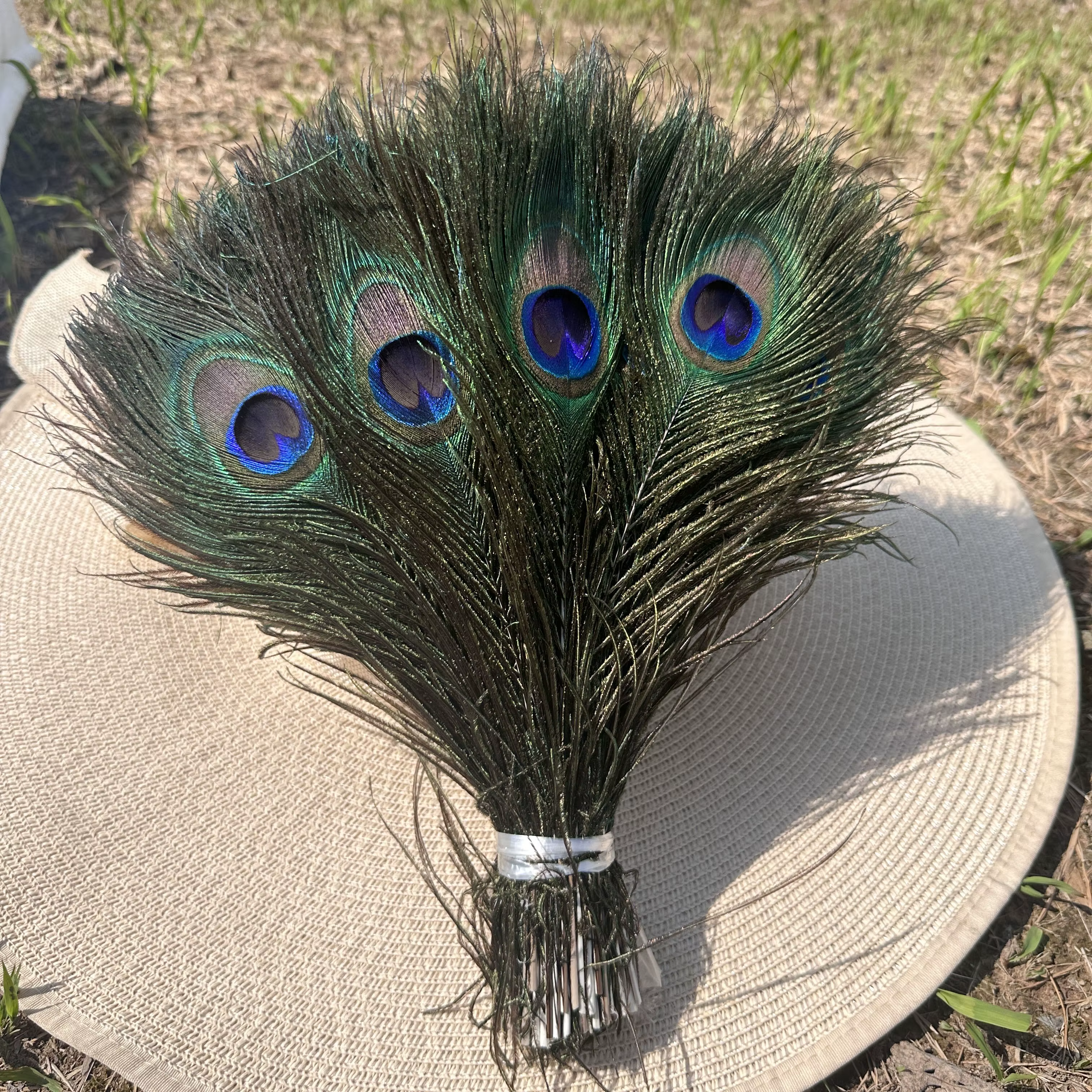 Plumes de paon colorées 25-30cm 50 pièces, grandes plumes naturelles 10-12 pouces pour décoration de