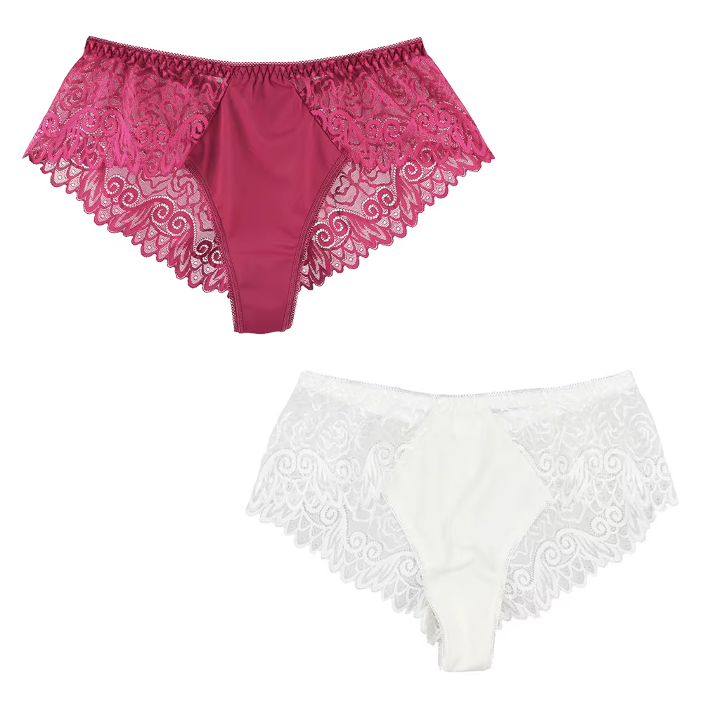 Culotte taille haute en dentelle et soie pour femmes, sous-vêtements Sexy, Tanga, Bikini, lingerie, 