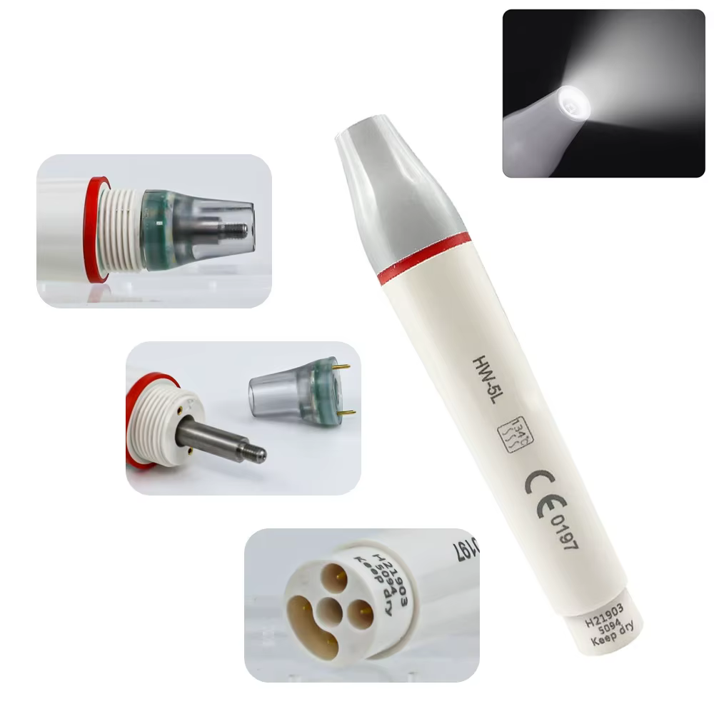BODE dentaire LED détartreur piézo-électrique ultrasonique pièce à main HW-5L ajustement pic détacha