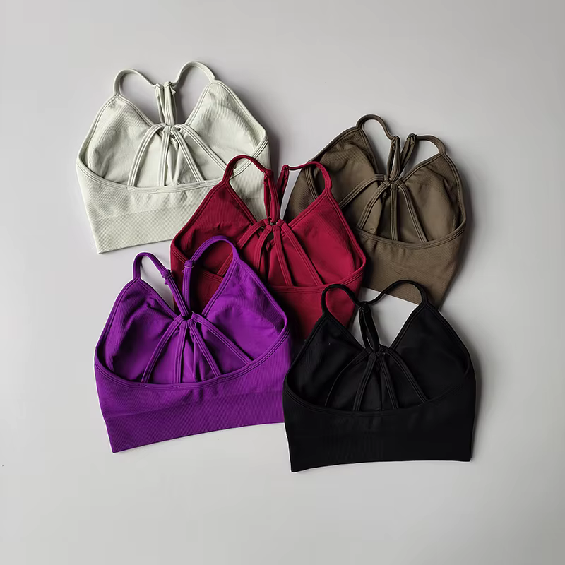 Soutien-gorge de sport sans couture pour femmes, 2 pièces, combinaison de Yoga, séchage rapide, leva