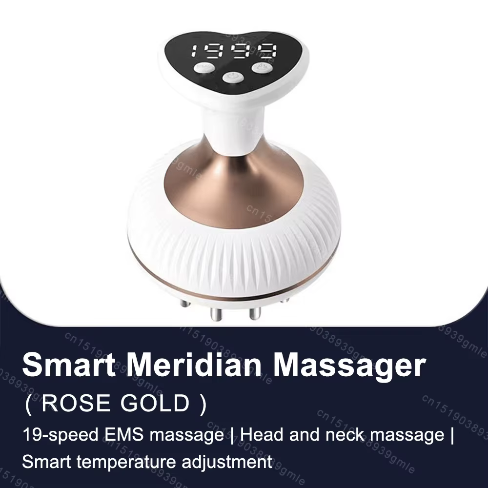 Brosse méridienne électrique Gua Sha, masseur corporel EMS, compresse chaude, grattage, Drainage lym